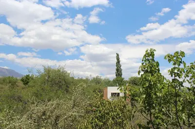 a house in the middle of a field with trees at La Molicie, Achiras Arriba in San Javier