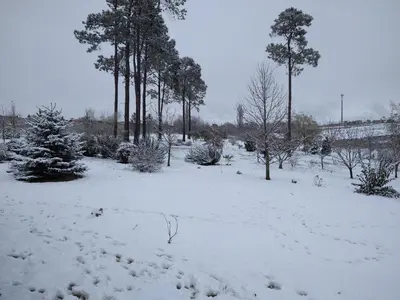 a field covered in snow with trees and bushes at Herencia Nativa in Villa Yacanto