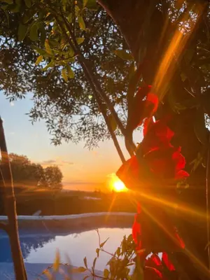 a person sitting in a tree with the sunset in the background at Pachamama cabañas en la montaña in Mina Clavero