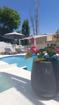a vase with flowers in it next to a pool at Brisas del Sur in Villa Carlos Paz