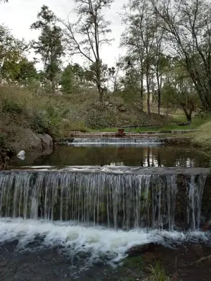 a small waterfall in a river with trees in the background at Posada Loma del Tigre in Los Reartes