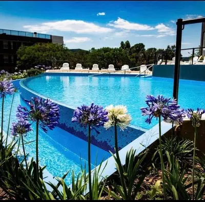 a large swimming pool with purple flowers in the foreground at Departamento con vistas al lago en Veneto Village in Villa Parque Siquiman