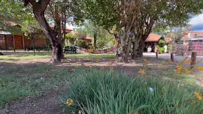 a park with a hammock between two trees at Cabañas Agua que Brilla in Mina Clavero