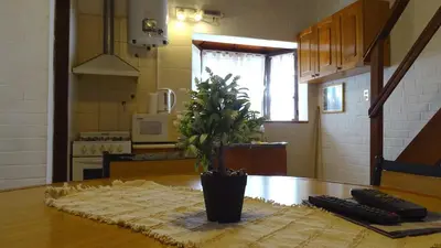 a potted plant sitting on top of a wooden table at Cabañas Agua que Brilla in Mina Clavero
