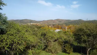 a group of trees with mountains in the background at Casa en Villa Los Aromos in La Bolsa