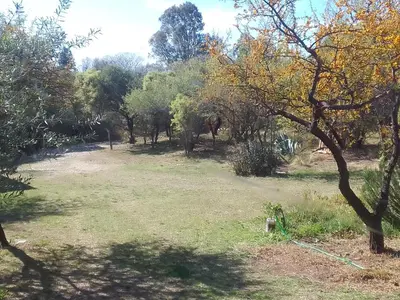 a park with trees and grass and a field at Chañares Majuk in San Javier