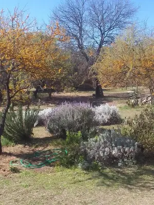 a garden with flowers and plants in the grass at Chañares Majuk in San Javier