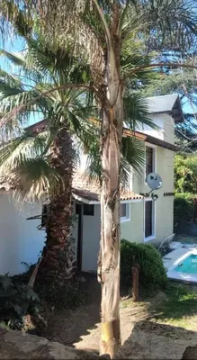 a palm tree in front of a house at Cabaña Paulina in Santa Rosa de Calamuchita