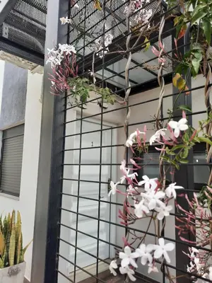 a facade of a house with flowers on it at COMPLEJO CRUZ in Alta Gracia