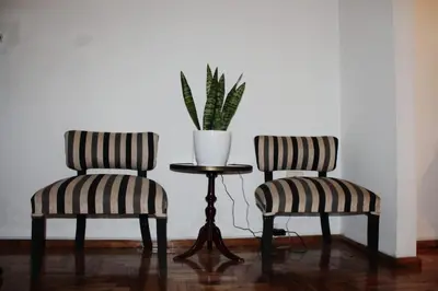 two chairs and a table with a potted plant at Mi depto en Córdoba II . in Cordoba