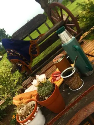 a group of potted plants sitting on a bench at Cabañas LA IRMA in Villa Ciudad Parque