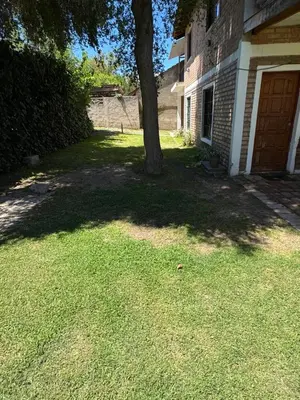 a tree in a yard next to a house at Cabaña en el Centro de Mina Clavero in Mina Clavero