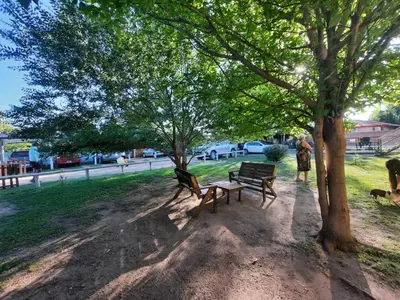 a park with two benches under a tree at Hostería Reserva Serrana in Mina Clavero