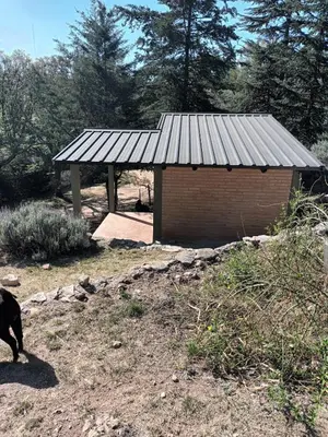 a dog standing in front of a small building at El Encuentro in Tanti