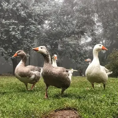 Posada Tanti El Durazno