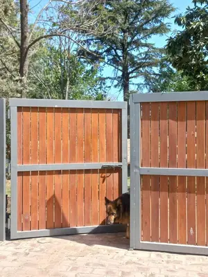 a cat is peeking out from behind two gates at Complejo Los Manantiales in Alta Gracia