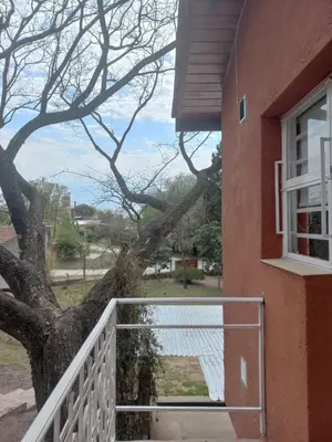 a tree on the side of a house at Complejo Los Manantiales in Alta Gracia
