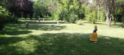 a group of children playing in a park at Cabaña en quinta la aurora in Mina Clavero