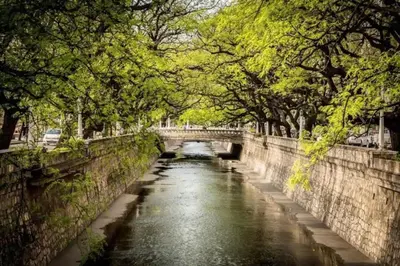 a river with a bridge in a park with trees at Coral State Loft in Tower in Cordoba