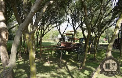 a horse drawn carriage in the shade of trees at Cabañas Casa de Piedra Los Molles - San Luis in Los Molles