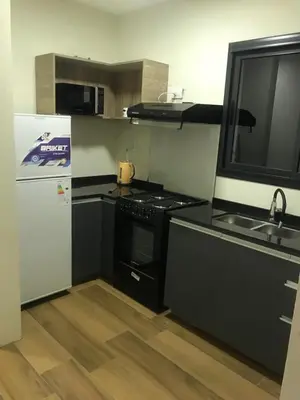 a kitchen with a stove and a sink and a refrigerator at Dinastie Country in Villa Rumipal