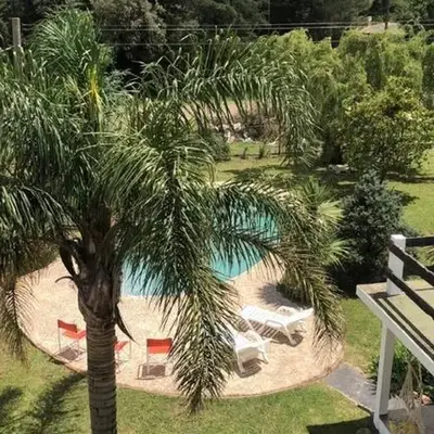 Dinastie Country