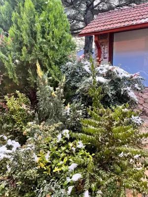 a garden with trees and flowers in front of a house at Ashram Asociación Argentina de Yoga in Mina Clavero