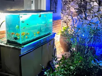 a fish tank sitting on top of a table at Ashram Asociación Argentina de Yoga in Mina Clavero