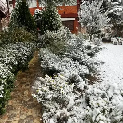 Ashram Asociación Argentina de Yoga