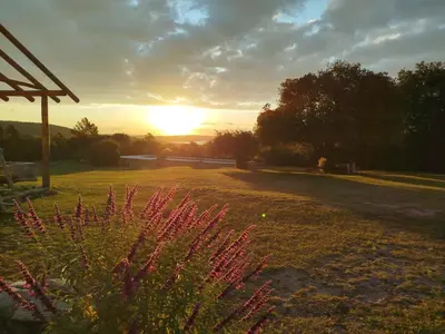 a sunset in a field with a pink plant at Posada del Paraíso-Exclusivo adultos in Las Rabonas