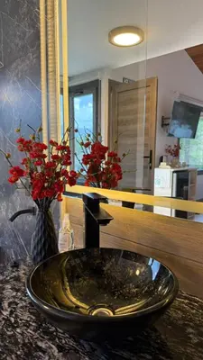 a bathroom with a sink and a vase with red flowers at Vimaen Suites in La Cumbrecita