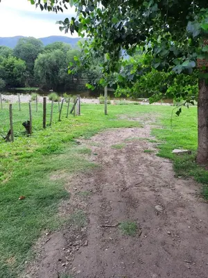 a dirt road in a field with a tree at HARD ROCK SERRANO in Santa María