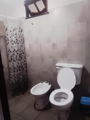 a bathroom with a toilet and a shower at Complejo de Departamentos DON QUIJOTE in Almafuerte