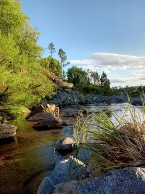 a river with rocks and grass and trees at Casa Desconectar in Villa Berna