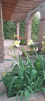 a patio with a bench and flowers in a garden at La Calma, casa frente al río, gran parque y pileta in Villa Icho Cruz