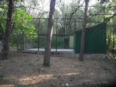a green gate in the middle of a forest at Casa Soleares in Villa de Las Rosas