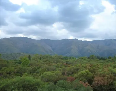 a view of a forest with mountains in the background at Casa Soleares in Villa de Las Rosas