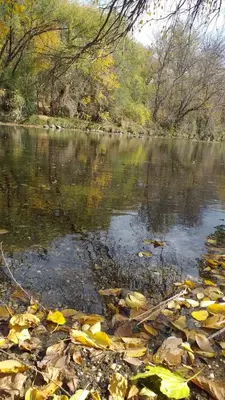 a body of water with leaves on the ground at La Candelaria in Santa Rosa de Calamuchita
