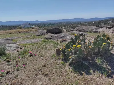 a field of flowers on the side of a hill at CABAÑAS PIRCAS DE CAMPO in Tanti