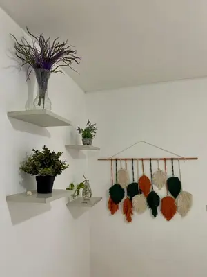 a wall with shelves with potted plants on them at Departamento en Nueva Cordoba Centro Bv Illia in Cordoba
