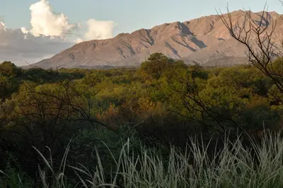 a mountain in the distance with trees and bushes at El Observador del Tiempo in San Javier