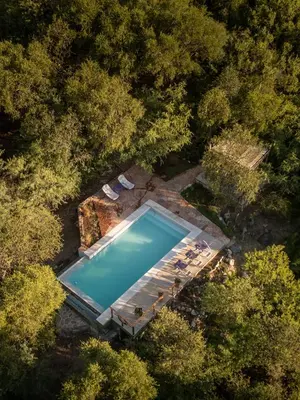 an overhead view of a swimming pool in a forest at El Observador del Tiempo in San Javier