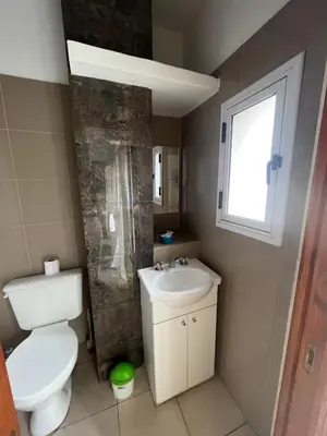 a bathroom with a toilet and a sink and a window at DERC Temporarios in Río Cuarto