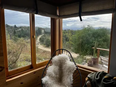 a dog sitting in a chair looking out of a window at Fase a Tierra in Atos Pampa
