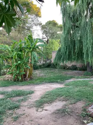 a yard with a tree with moss hanging from it at Gratitud! in Almafuerte