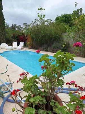 a pool with a plant in a yard at Gratitud! in Almafuerte