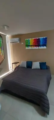 a large bed in a bedroom with two paintings on the wall at Centro Carlos Paz 1 dormitorio in Villa Carlos Paz