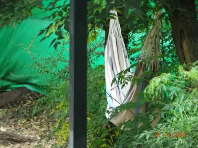 a white hammock hanging from a tree at Cabaña La Chicha in Villa Anizacate
