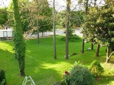 an overhead view of a park with trees and grass at Departamento Pama in Santa Rosa de Calamuchita