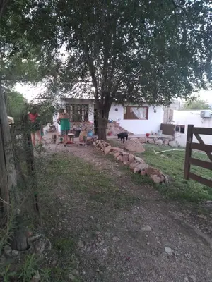 a group of people and a dog standing under a tree at Casa de montaña in Bialet Massé